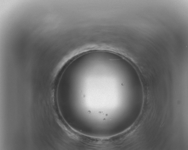 X0000067501503200604150054