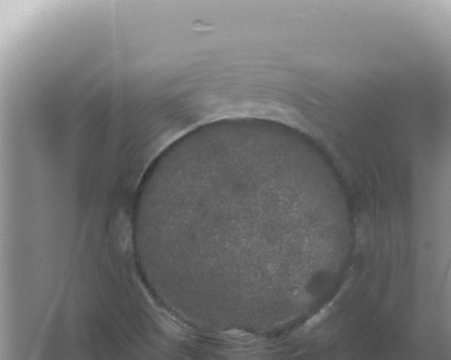 X0000067501505200604150054