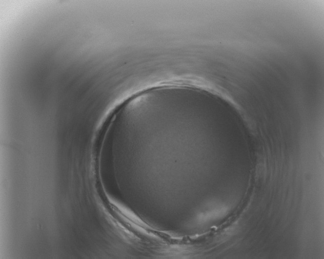 X0000067501506200604150054