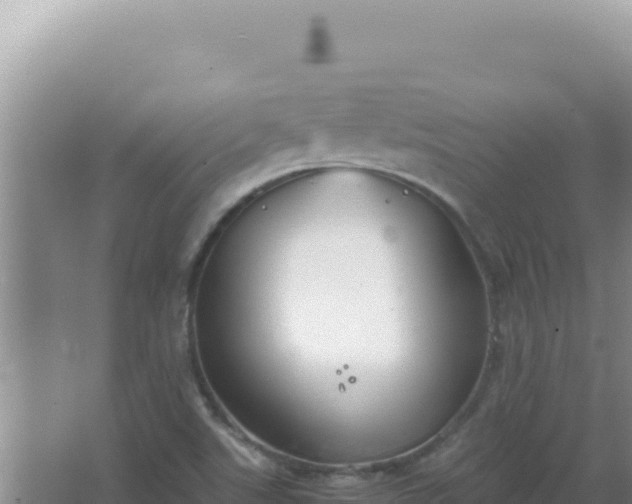 X0000067501507200604150054