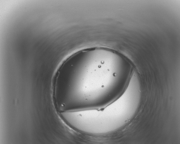 X0000067501508200604150054