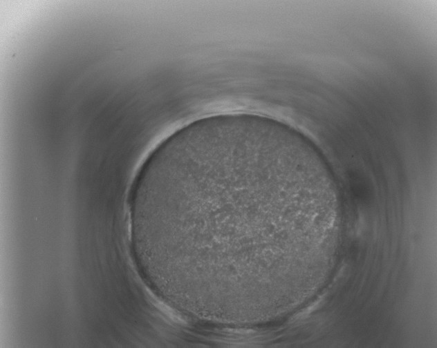 X0000067501509200604150054