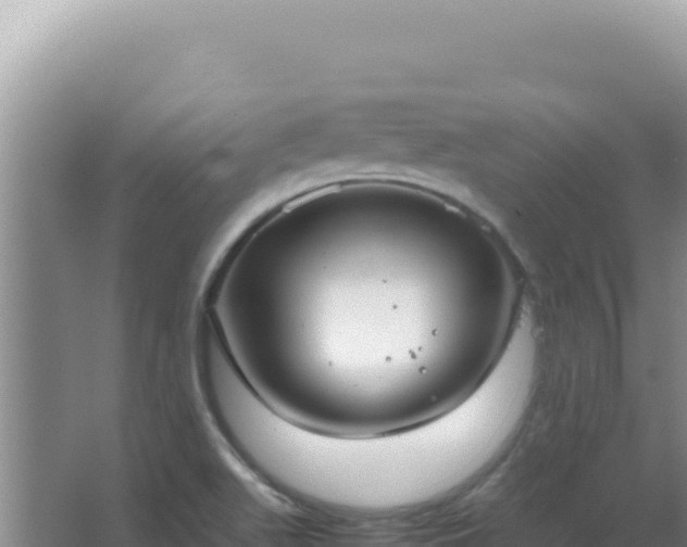 X0000067501511200604150054