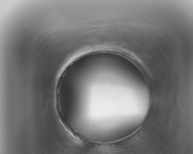 X0000067501512200604150054