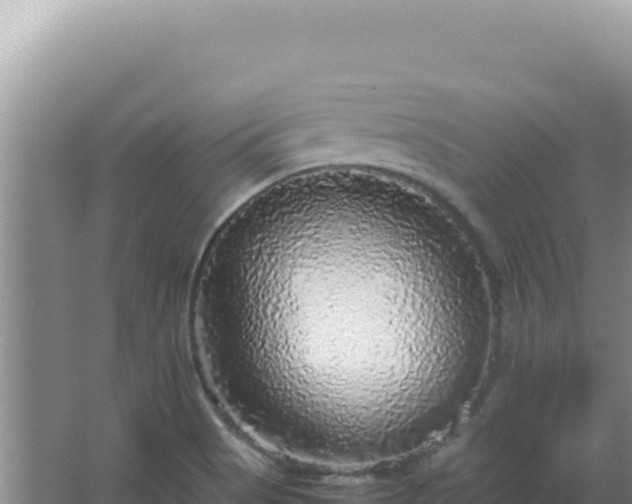 X0000067501513200604150054