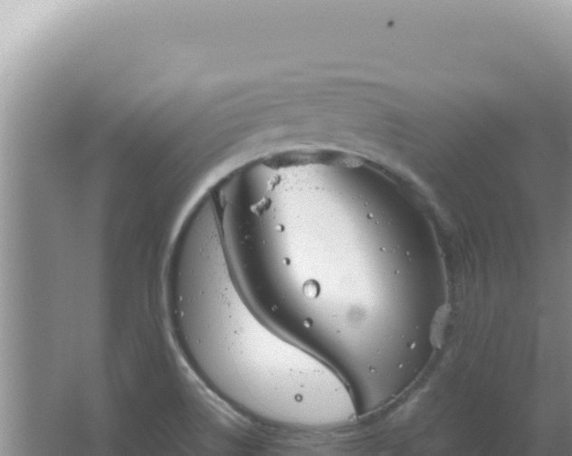 X0000067501514200604150054