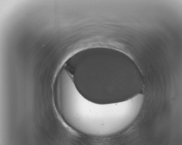 X0000067501515200604150054