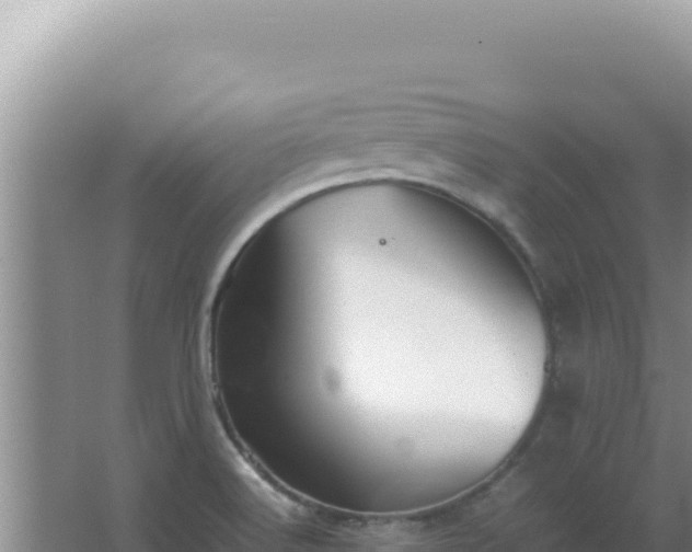 X0000067501516200604150054