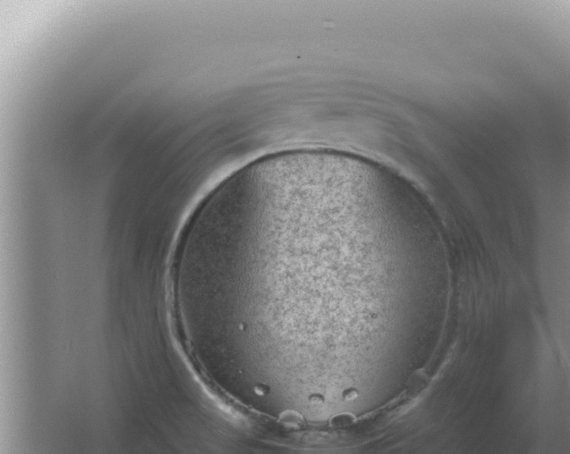 X0000067501517200604150054