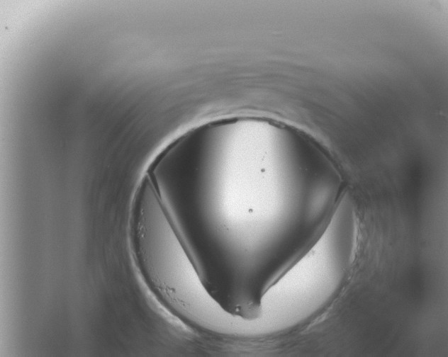 X0000067501518200604150054