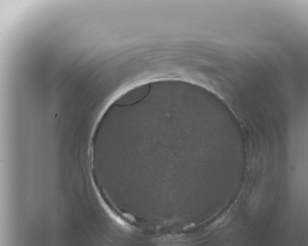 X0000067501519200604150054