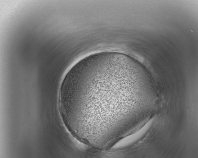 X0000067501520200604150054