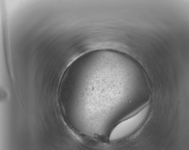 X0000067501521200604150054