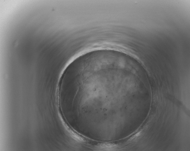 X0000067501522200604150054