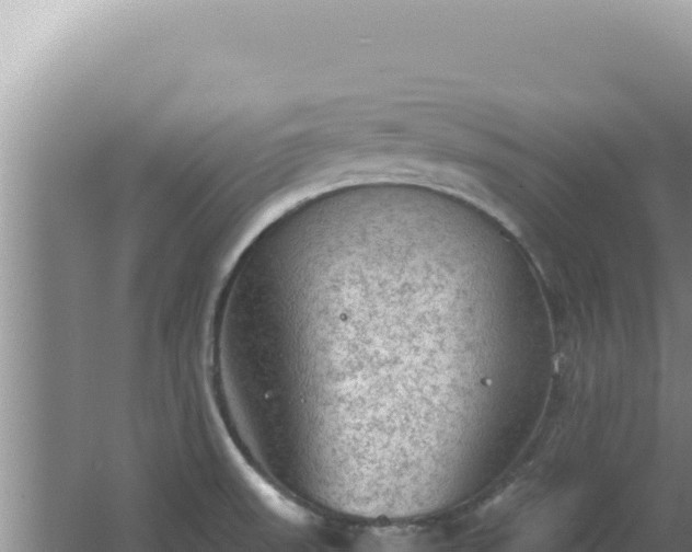 X0000067501523200604150054