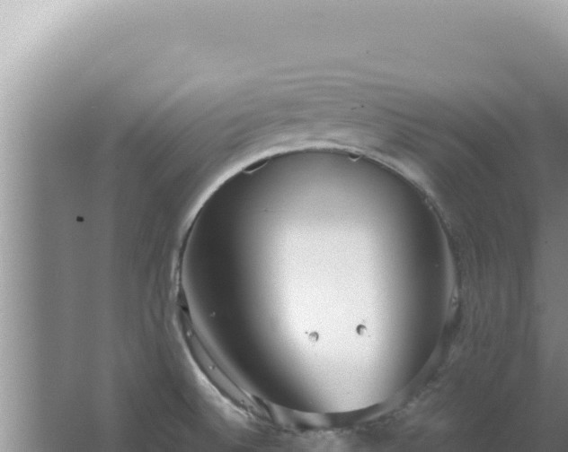 X0000067501524200604150054