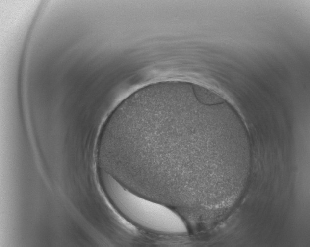 X0000067501525200604150054