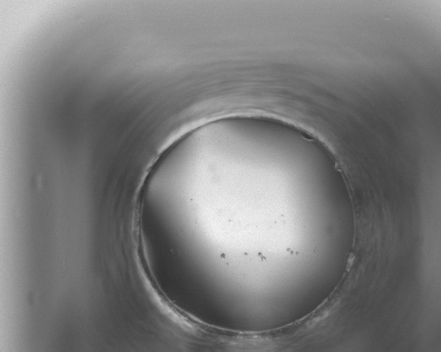 X0000067501526200604150054