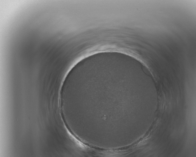 X0000067501527200604150054