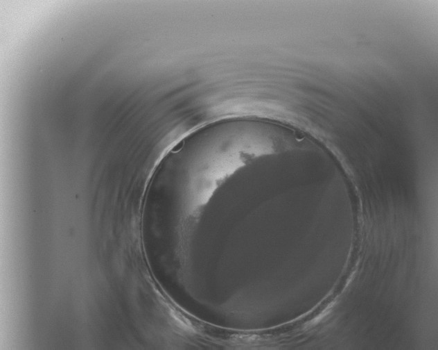 X0000067501529200604150054