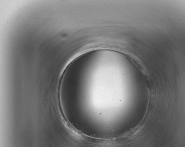 X0000067501530200604150054