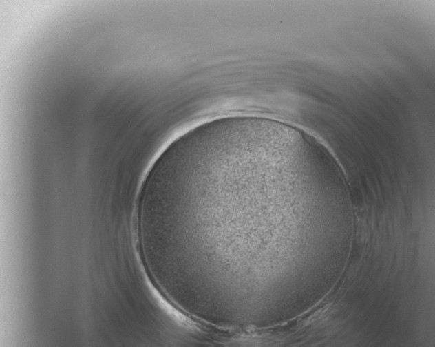 X0000067501531200604150054