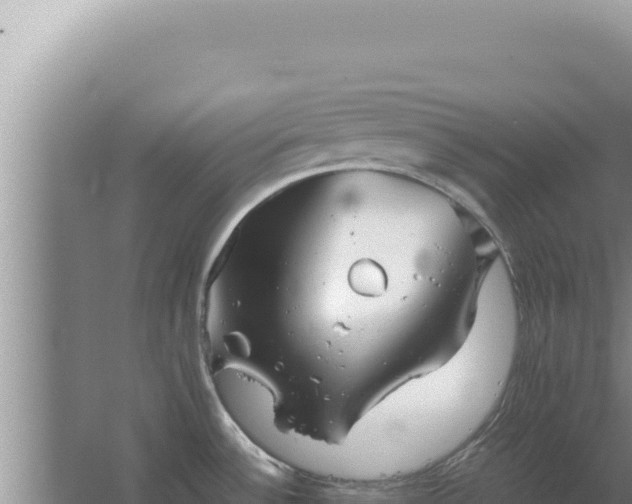 X0000067501532200604150054