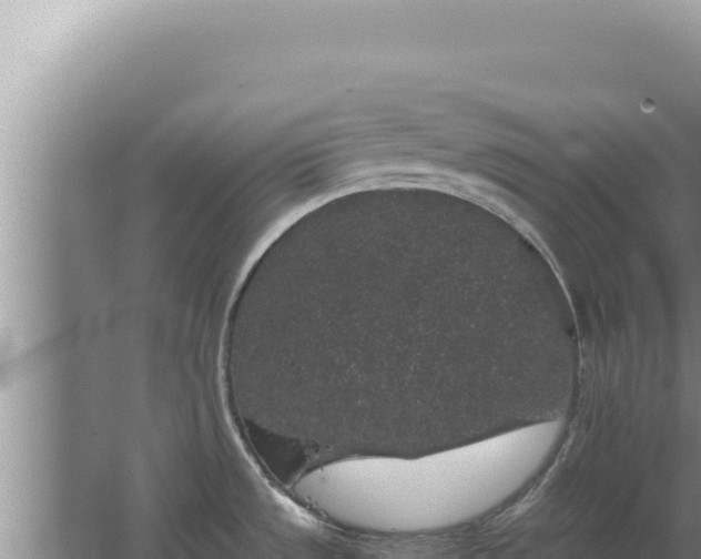 X0000067501533200604150054