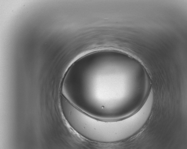 X0000067501534200604150054