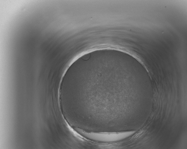 X0000067501535200604150054