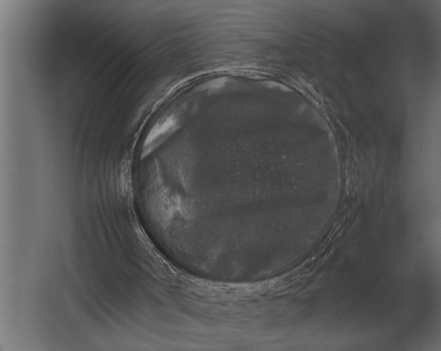 X0000067500002200604211737