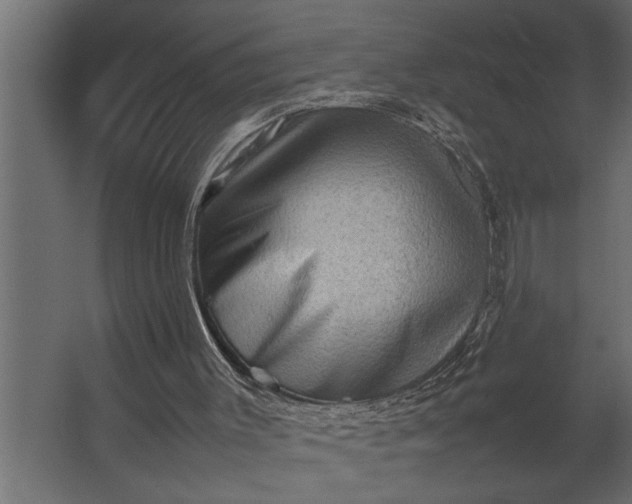 X0000067500003200604211737