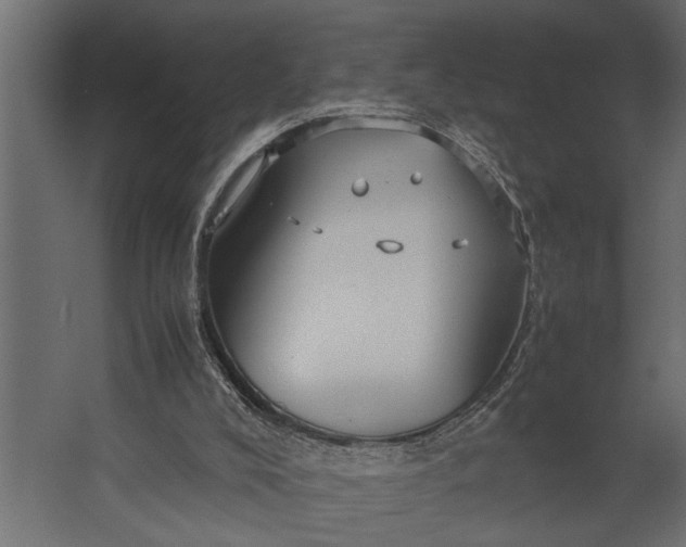 X0000067500008200604211737