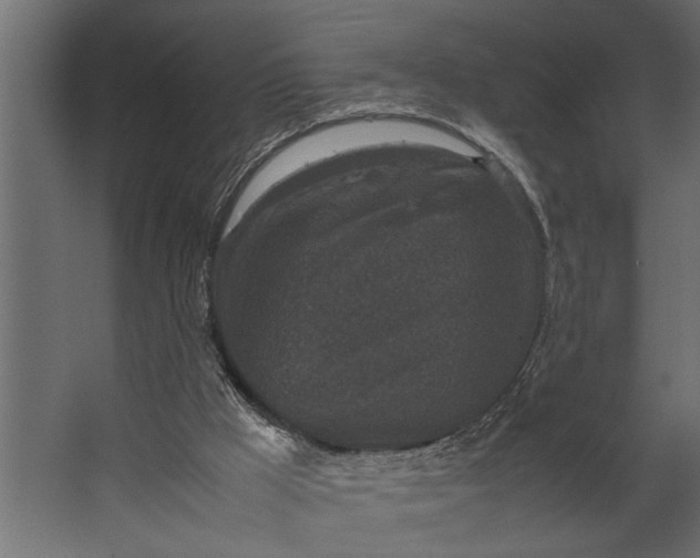 X0000067500009200604211737