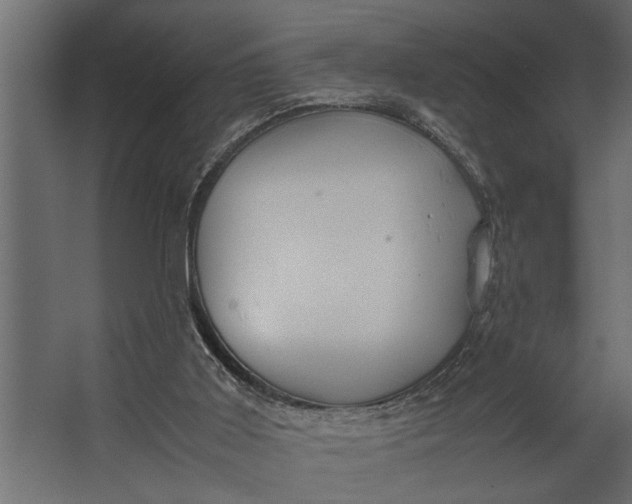 X0000067500011200604211737