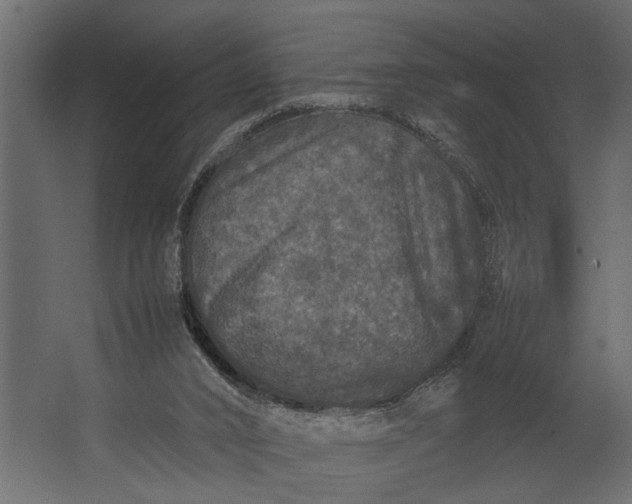 X0000067500016200604211737