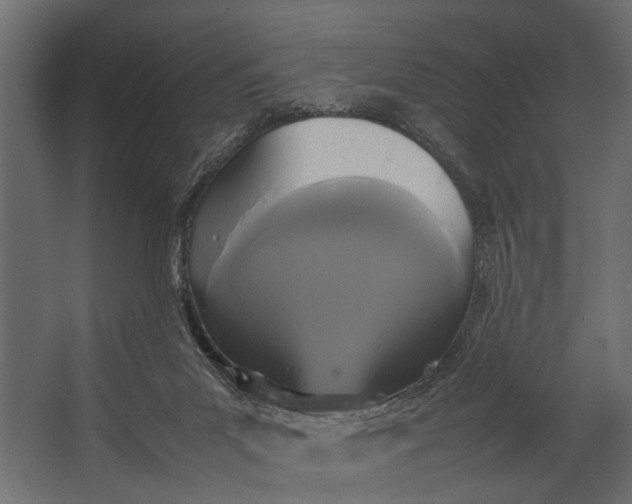 X0000067500023200604211737