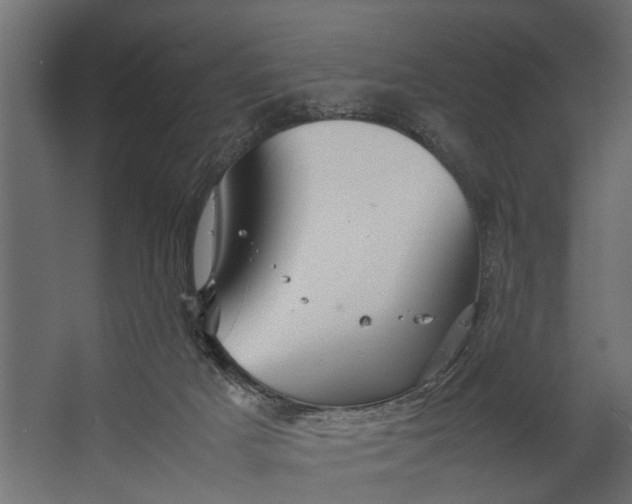 X0000067500025200604211737