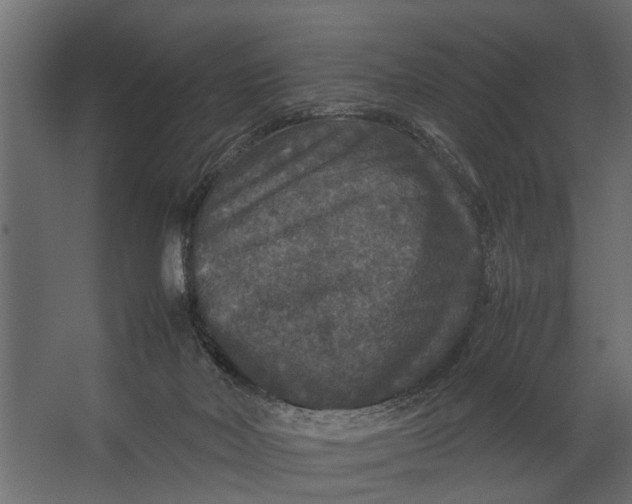 X0000067500026200604211736