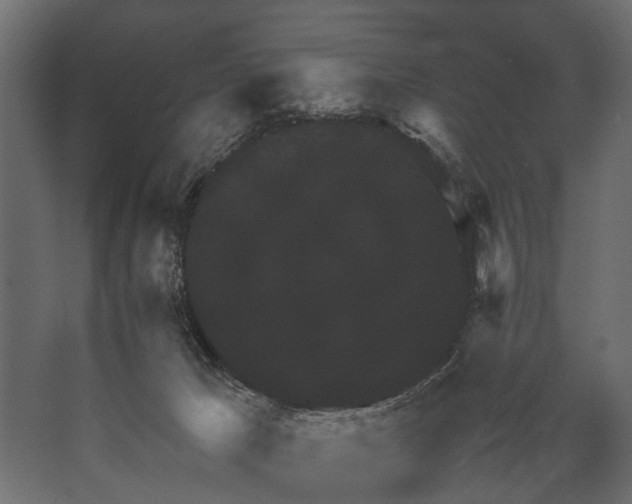 X0000067500029200604211736