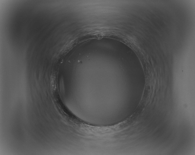 X0000067500031200604211736