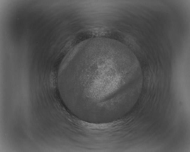 X0000067500034200604211736