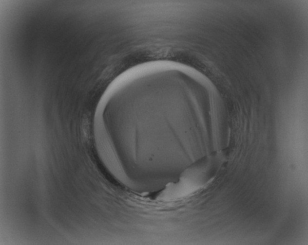 X0000067500035200604211736