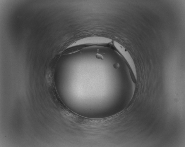 X0000067500037200604211736
