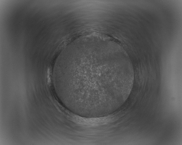X0000067500038200604211736