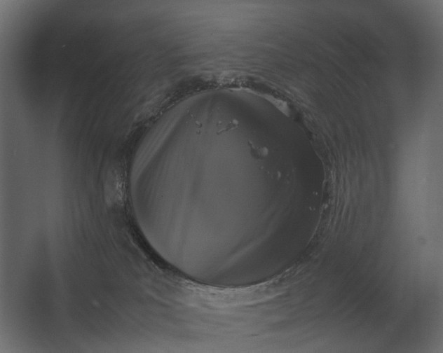 X0000067500039200604211736