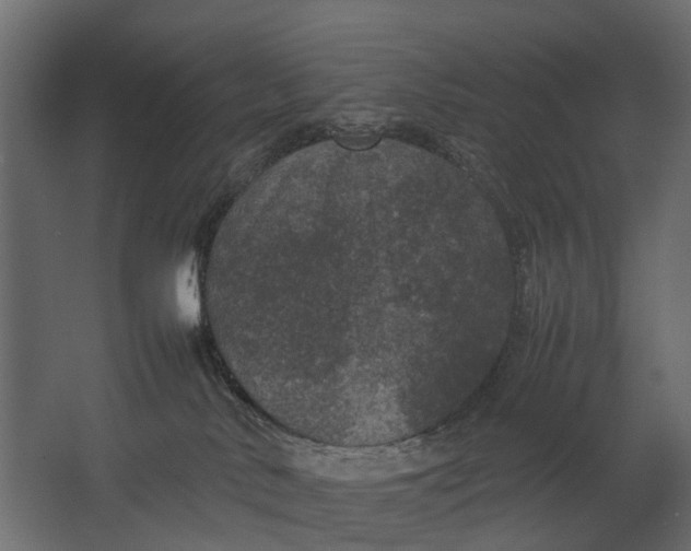 X0000067500042200604211736
