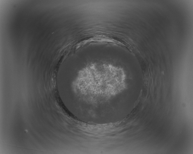 X0000067500043200604211736
