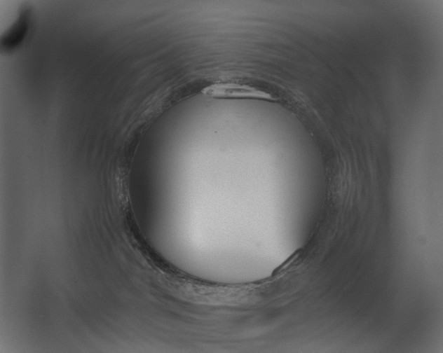 X0000067500044200604211736