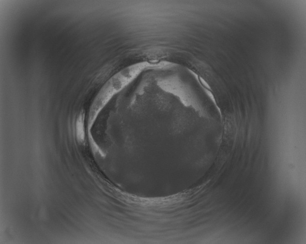 X0000067500046200604211736